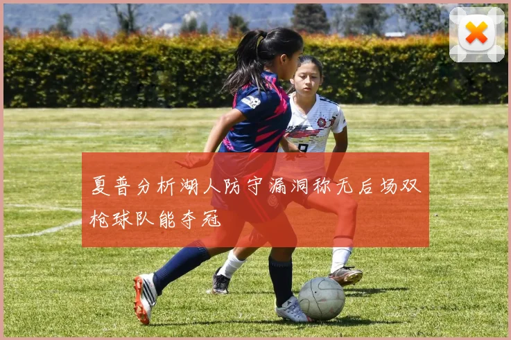 夏普分析湖人防守漏洞称无后场双枪球队能夺冠